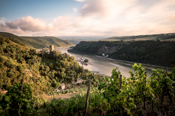 Wine-growing region Mittelrhein with a river that runs through the hills