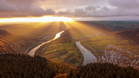 The wine-growing region along the Moselle