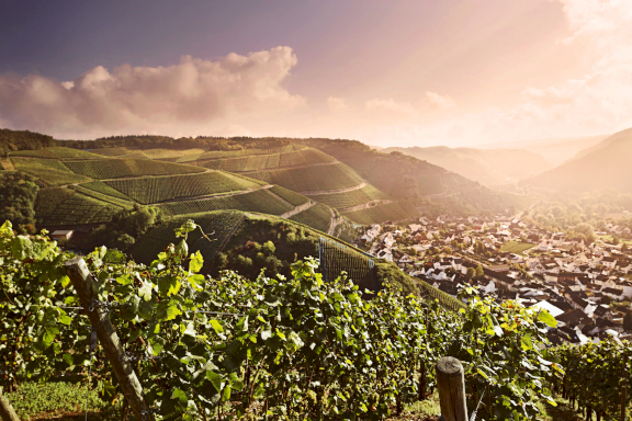 The Pfalz region with great vineyards on the many hills