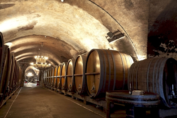 A wine cellar with big wine barrels